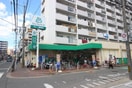 サニー駅南店(スーパー)まで518m ラフレシーサ博多駅南Ⅵ