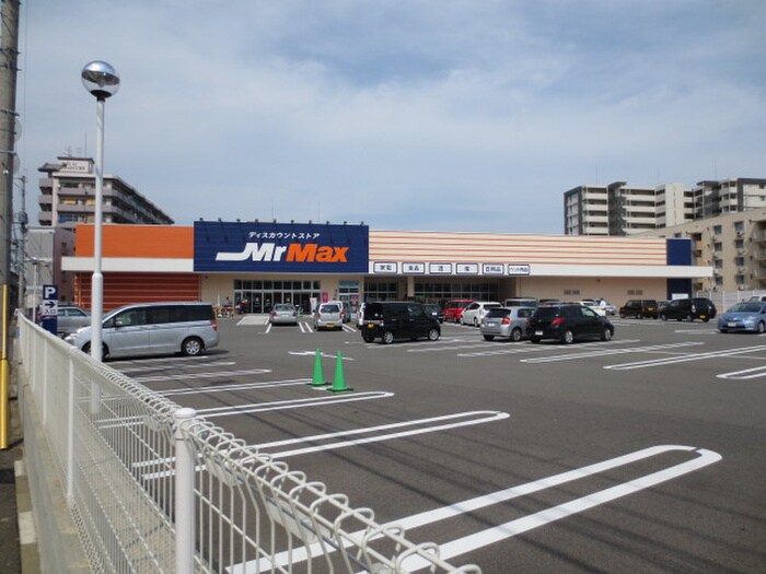 ミスターマックス(スーパー)まで230m ラ・フェスタ吉塚