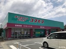 ディスカウントドラッグコスモス御笠川店(ドラッグストア)まで300m コモド　パラッツォ