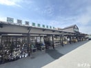 JA筑紫　ゆめ畑　太宰府店(スーパー)まで260m ダンディライオンＡ