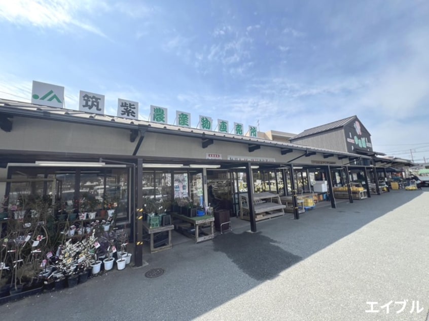 JA筑紫　ゆめ畑　太宰府店(スーパー)まで260m ダンディライオンＡ