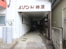 外観写真 メゾンド柿原