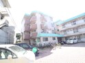 完成写真