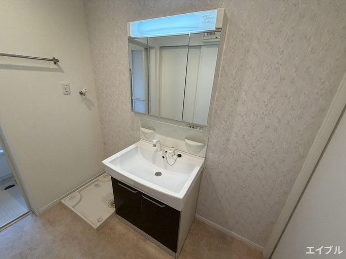 洗面 ｺﾘｰﾇ ﾄﾞｩ ﾌﾚｰﾙ South Stage