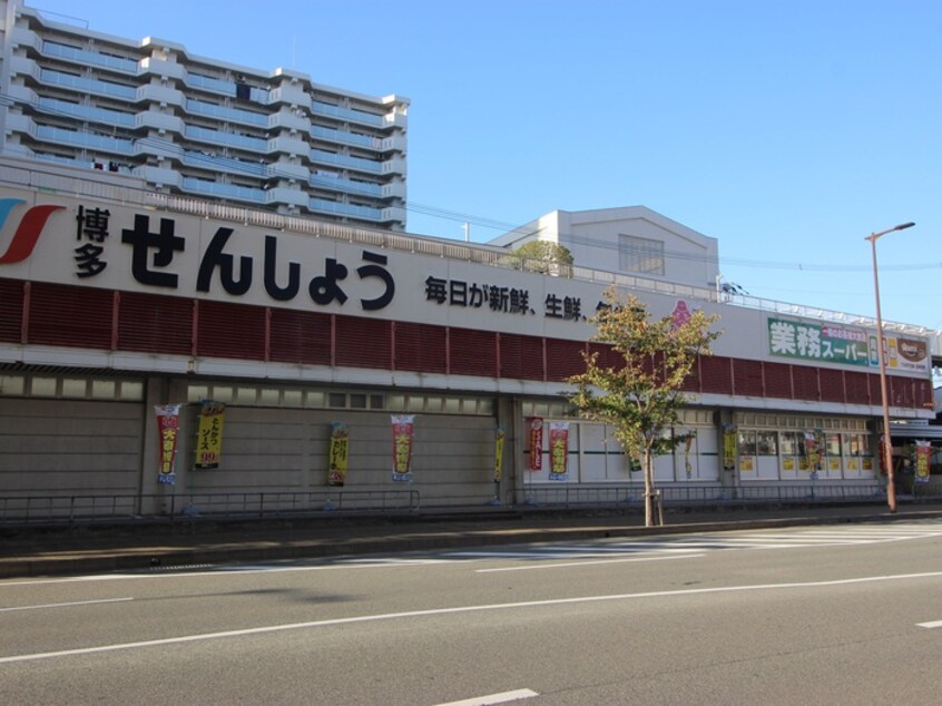 せんしょう(スーパー)まで800m リアンシエルブル－東公園