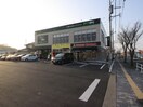 ミスタードーナツ永犬丸店(ファストフード)まで800m ＭＯＯＮ永犬丸Ａ