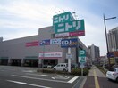ニトリ小倉北店(電気量販店/ホームセンター)まで250m アクシオ三萩野