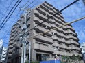 完成写真