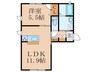 セカンドタワー 1LDKの間取り