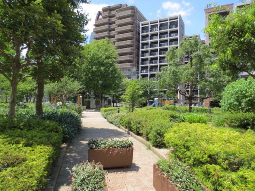 長浜公園(公園)まで400m アクタス天神Ⅲ(901)