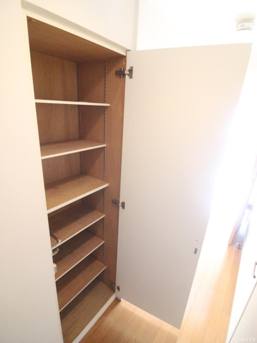 靴箱 ﾀﾞｲﾅｺ-ﾄｴｽﾀﾃﾞｨｵ東公園Ⅴ(401)