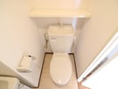 トイレ ﾀﾞｲﾅｺ-ﾄｴｽﾀﾃﾞｨｵ東公園Ⅴ(401)