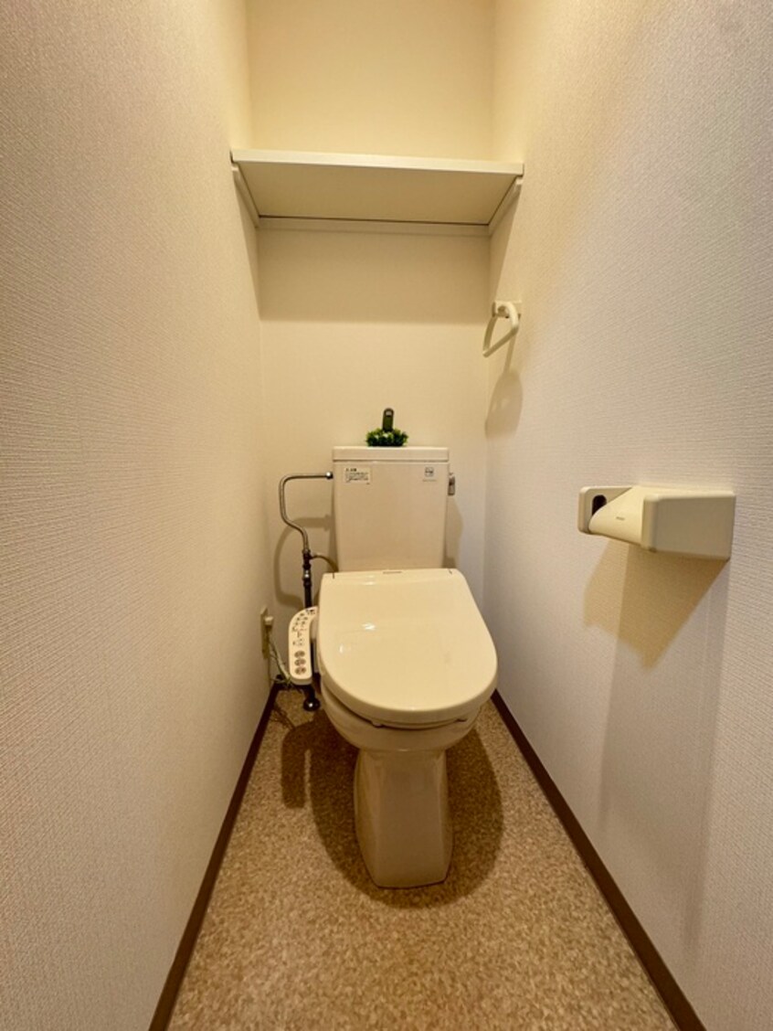 トイレ デザイナープリンセス３３