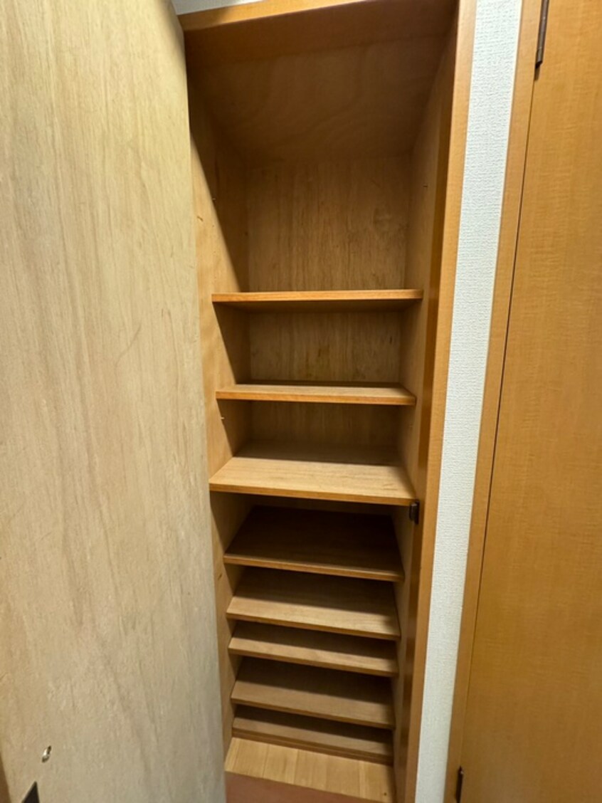 靴箱 デザイナープリンセス３３