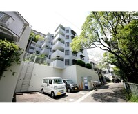 チェリベ輝国(505)