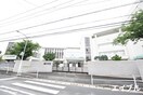 福岡市立横手中学校(中学校/中等教育学校)まで600m ルネス・プチマルシェ