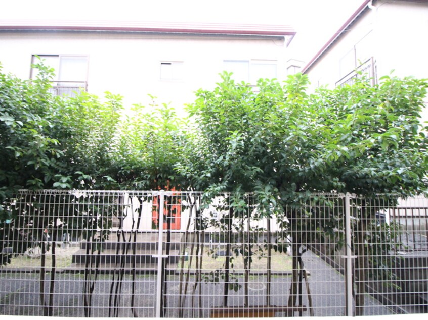 室内からの展望 メ－プル高木