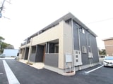 ライトウィッシュ