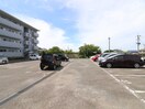 駐車場 ウインクス光岡
