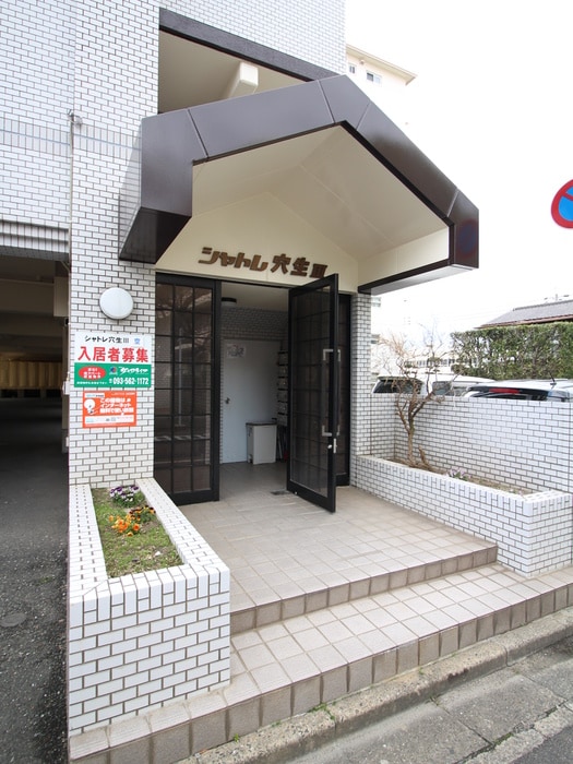 エントランス部分 シャトレ穴生Ⅲ