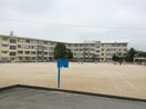 室見小学校(小学校)まで140m 館エレガンス室見