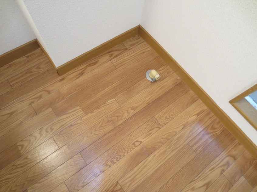 洗濯機置場 ステュディオナイン