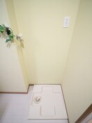 洗濯機置場 ﾛｲﾔﾙﾏﾝｼｮﾝ大濠(301)