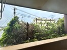 室内からの展望 プライムガーデンⅢ