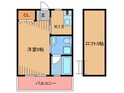 ベルグハウゼの間取図