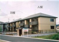 ピュアパームＣ
