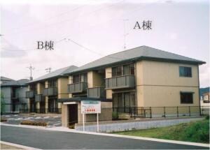 ピュアパームＣ