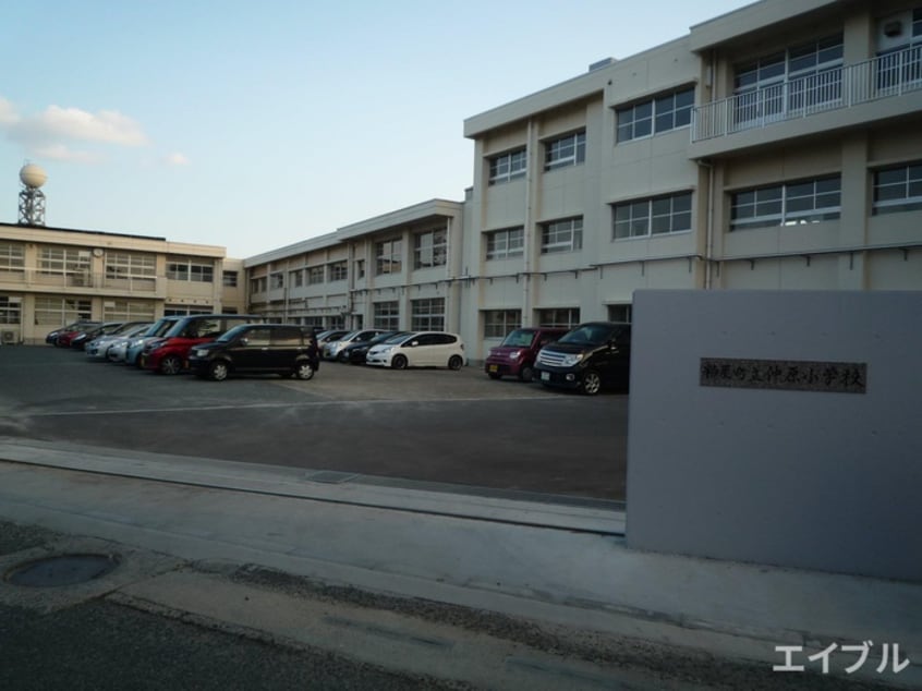 仲原小学校(小学校)まで481m メゾンアジュレⅢ