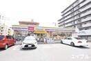 ミニストップ博多諸岡店(コンビニ)まで290m セリュー諸岡