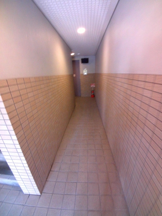 エントランス部分 マイカ西新