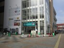 サニー(スーパー)まで334m ロマン白木原