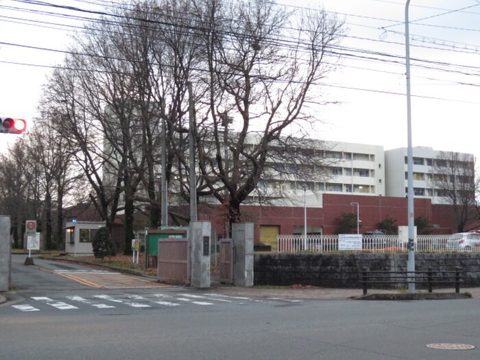 筑紫キャンパス(大学/短大/専門学校)まで1340m ロマン白木原