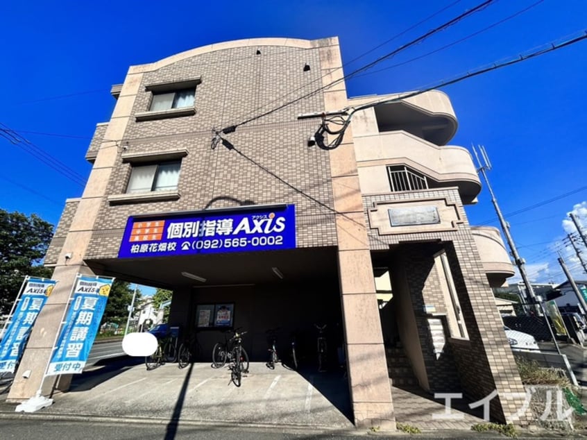 その他 クレベール柏原