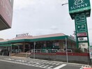 サニーちくし台店(スーパー)まで500m アルティ２１　Ｂ棟