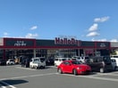 ハローデイ穂波店(スーパー)まで1830m ベルエキップエム飯塚