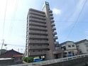 完成写真