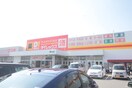 ダイレックス(ディスカウントショップ)まで600m D-room香住ヶ丘