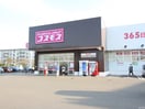 コスモス野方店(ドラッグストア)まで600m アルカンシェル1