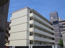 プレースコートの外観
