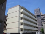 プレースコート