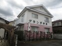 完成写真