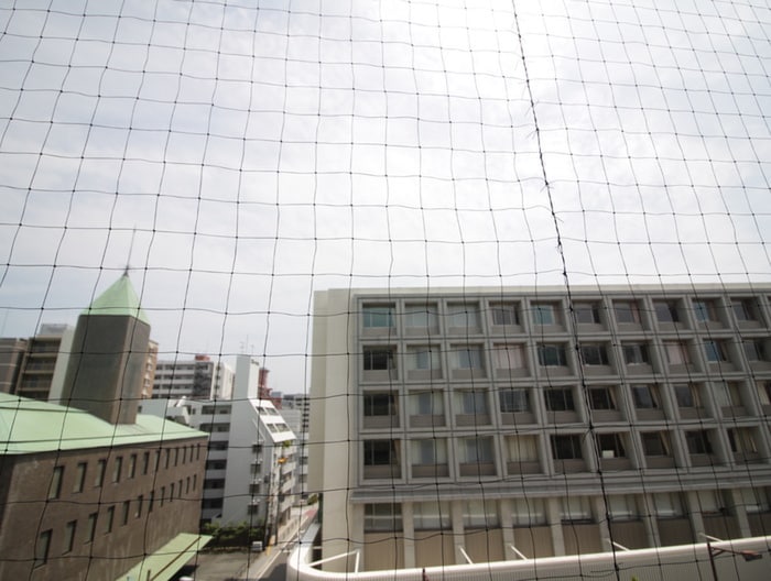 室内からの展望 フォレステージュ天神