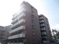 アマルフィいずみ