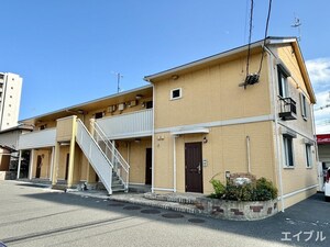 すみれ草