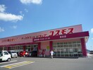 ディスカウントドラッグコスモス 泉台店(ドラッグストア)まで550m サンヒルズ