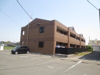 CENTURY椿B